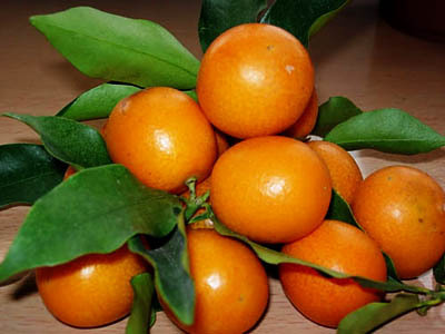 ���L(zh��ng)̶���p���~��Ʒ���